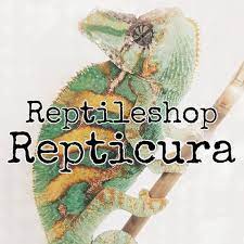 reptielenshop Repticura