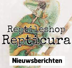 Repticura Leeuwarden nieuwsberichten